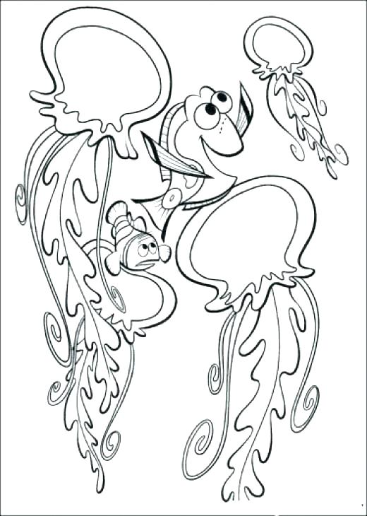 Sea Urchin Coloring Page Jellyfish Sea Urchin Coloring Pages 520x730 Sea Urchin Coloring Page Jellyfish Sea Urchin Coloring Pages