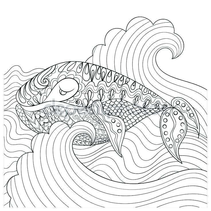 Sea Urchin Coloring Page Sea Urchin Coloring Page Sea Urchin Kelp 736x736 Sea Urchin Coloring Page Sea Urchin Coloring Page Sea Urchin Kelp