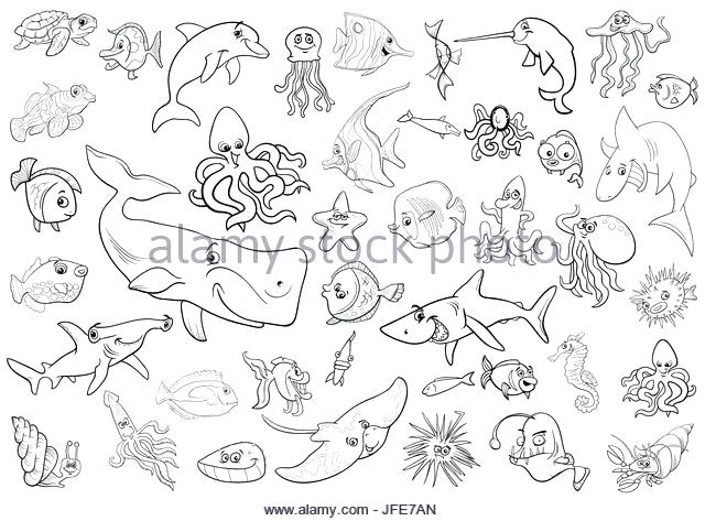 Sea Urchin Coloring Page Star Fish Coloring Page Sea Urchin 640x473 Sea Urchin Coloring Page Star Fish Coloring Page Sea Urchin