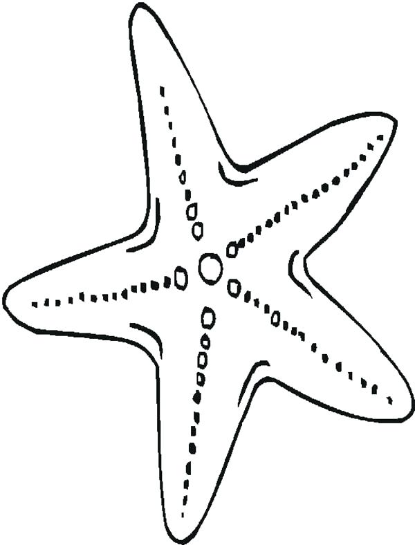 Sea Star Coloring Page Star Fish Coloring Page Sea Urchin Coloring 600x788 Sea Star Coloring Page Star Fish Coloring Page Sea Urchin Coloring