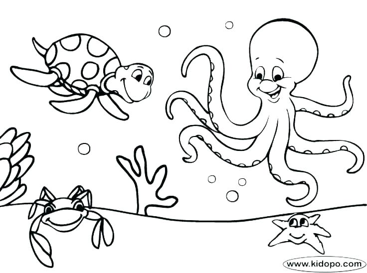 Seahorse Coloring Page Free Kids Coloring Coloring Pages Under 736x548 Seahorse Coloring Page Free Kids Coloring Coloring Pages Under