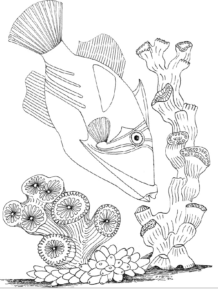 Kids Under 7 Underwater World Coloring Pages 696x924 Kids Under 7 Underwater World Coloring Pages