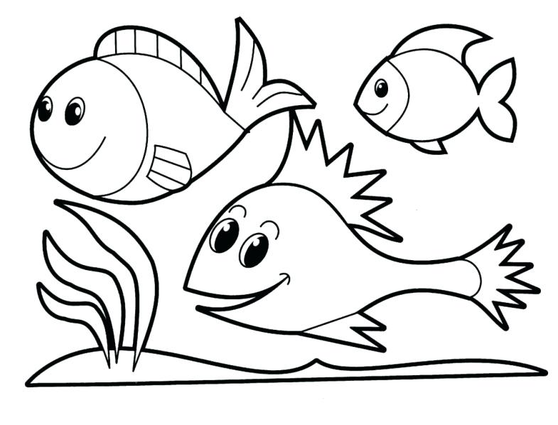 Printable Fish Coloring Pages Printable Fish Coloring Pages Free 785x598 Printable Fish Coloring Pages Printable Fish Coloring Pages Free