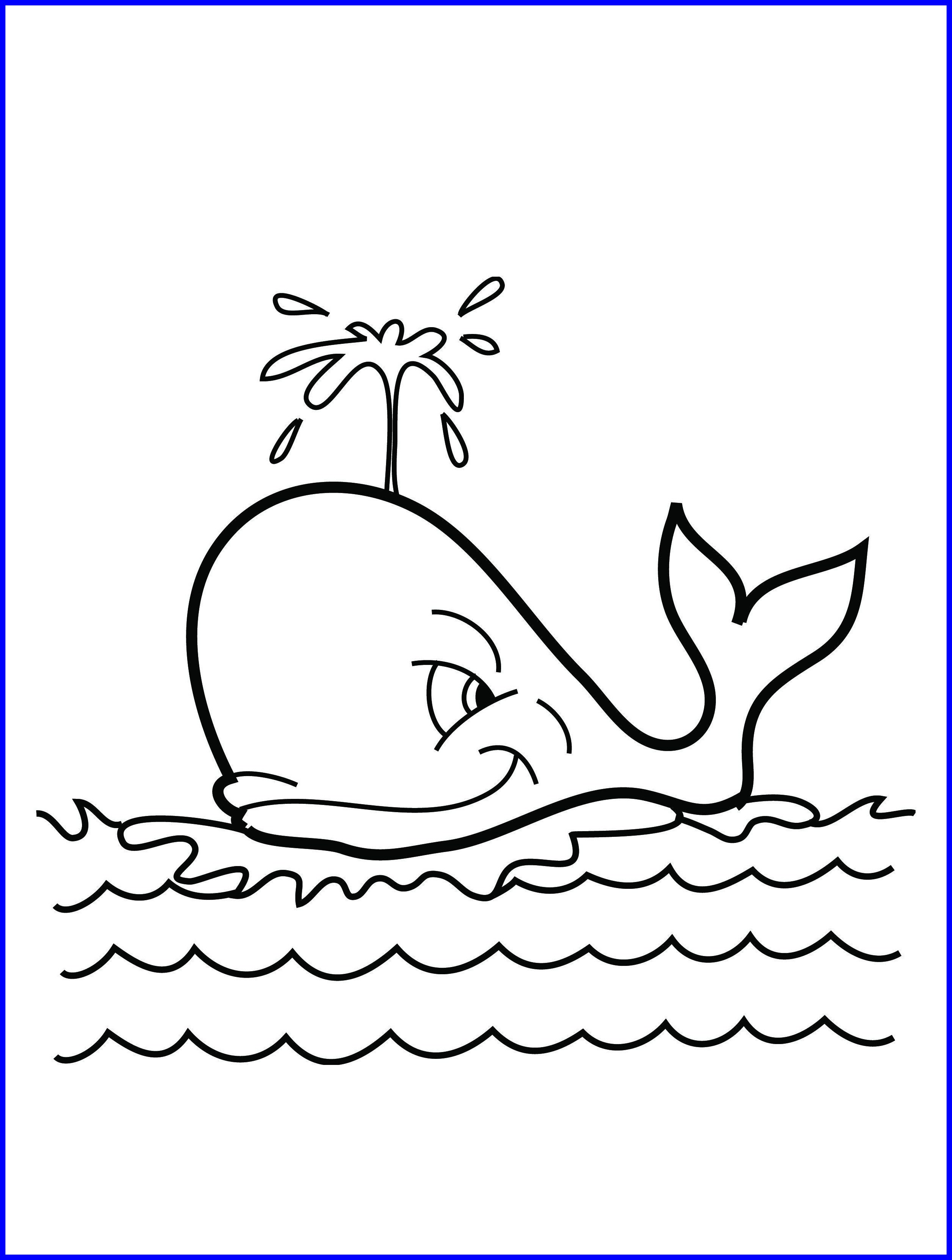 Seagull Coloring Page