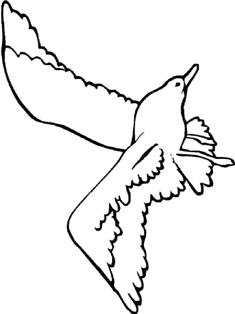 Coloring Pages Seagull Printable Coloring Pages 750x1000 Coloring Pages Seagull Printable Coloring Pages