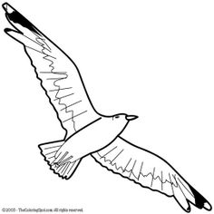 Coloring Images Of Sunsets Seagulls Coloring Pages Super 236x236 Coloring Images Of Sunsets Seagulls Coloring Pages Super