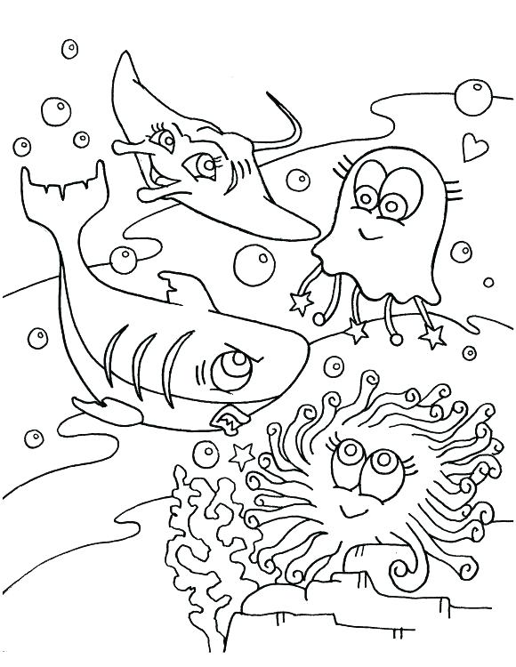 580x750 This Is Seahawks Coloring Page Images Incredible Seahawks Color