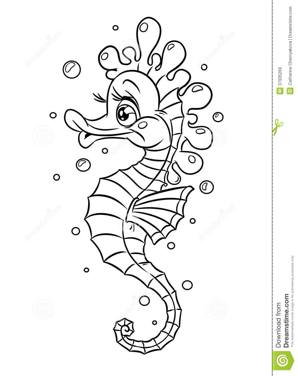 1031x1300 Seahorse Coloring Pages 0