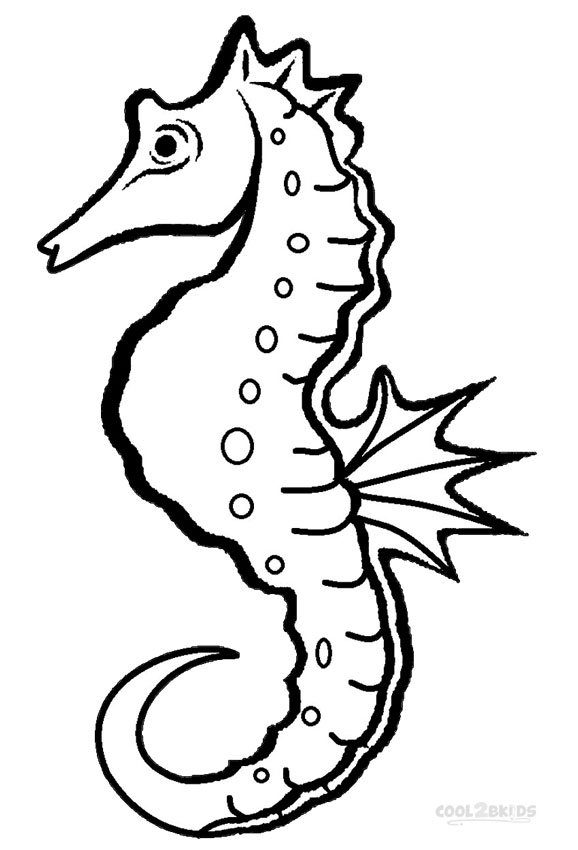 578x850 Printable Seahorse Coloring Pages For Kids Cool2bkids Seahorse