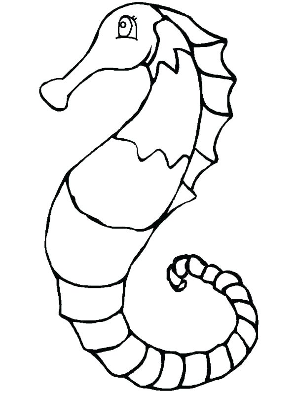 600x800 Sea Horse Coloring Pages Printable Seahorse Coloring Pages