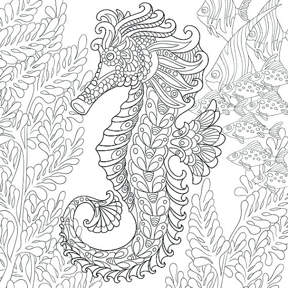 570x570 Seahorse Coloring Pages Mermaid Seahorse Coloring Pages Adult