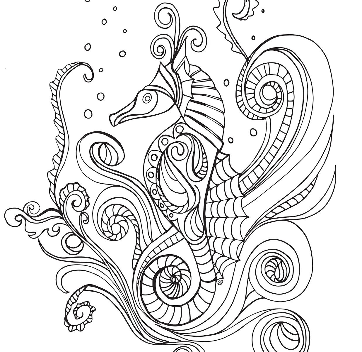 1236x1200 Brilliant Seahorse Coloring Pages In Color Seahorses Free
