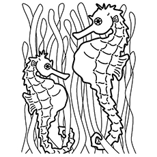 230x230 Top 10 Free Printable Seahorse Coloring Pages Online