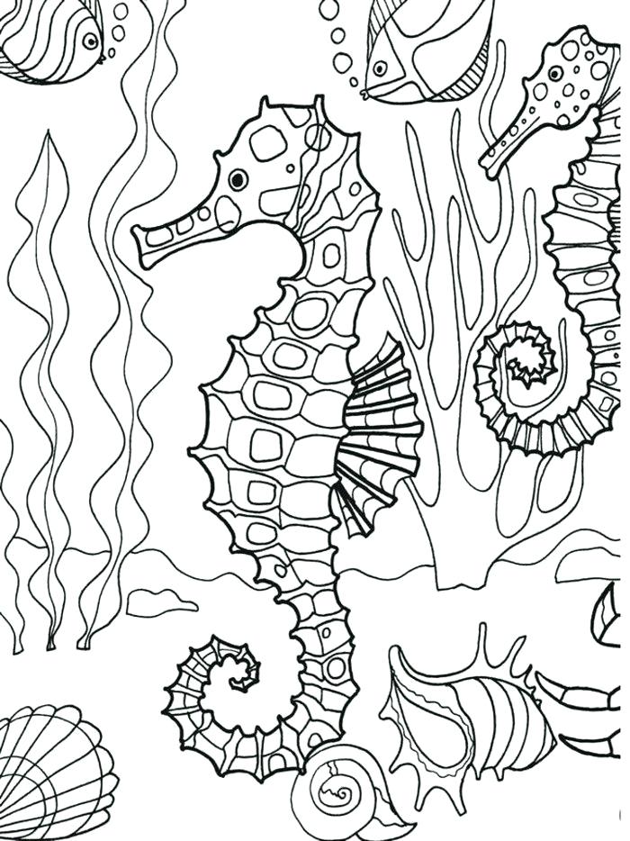 700x934 Underwater Coloring Page Underwater Seahorse Coloring Page Adult