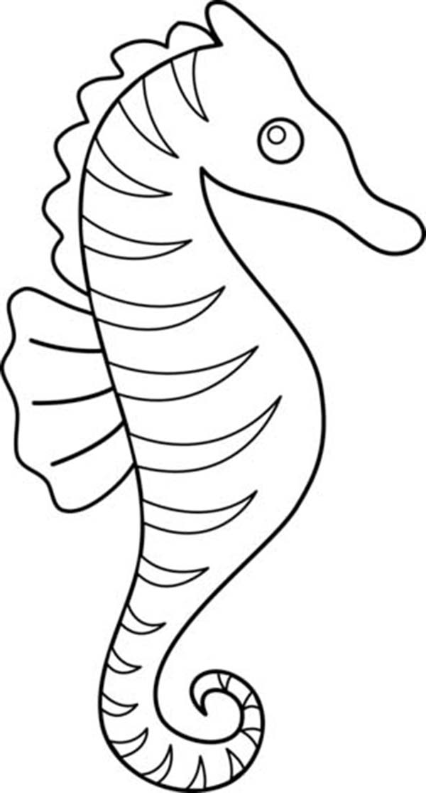 600x1115 Extraordinary Ideas Seahorse Coloring Pages For Adults