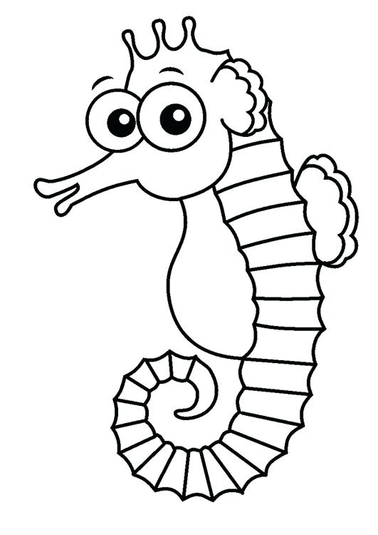 Sea Horse Coloring Pages S Mermaid Seahorse Coloring Pages 531x750 Sea Horse Coloring Pages S Mermaid Seahorse Coloring Pages
