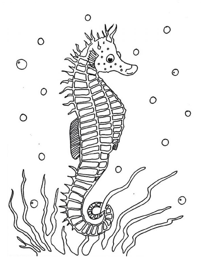 Seahorse Coloring Page Elegant Free Printable Seahorse Coloring 700x900 Seahorse Coloring Page Elegant Free Printable Seahorse Coloring