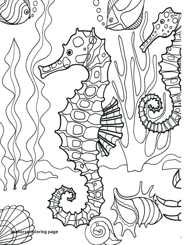 Seahorse Coloring Page For Kids Free Printable Picture This 700x934 Seahorse Coloring Page For Kids Free Printable Picture This
