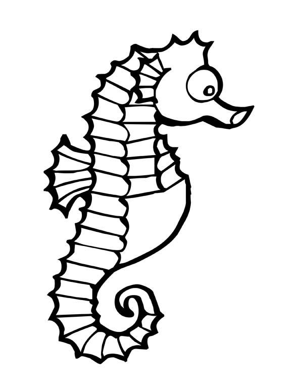 Big Rounded Eye Seahorse Coloring Page 600x776 Big Rounded Eye Seahorse Coloring Page
