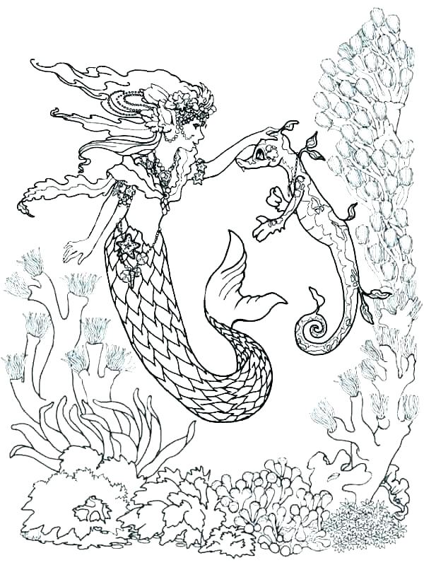 Seahorse Coloring Page Seahorse Coloring Page Free Printable Pages 600x806 Seahorse Coloring Page Seahorse Coloring Page Free Printable Pages