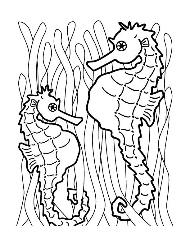 Free Printable Seahorse Coloring Pages For Kids Seahorses, Eric 612x792 Free Printable Seahorse Coloring Pages For Kids Seahorses, Eric