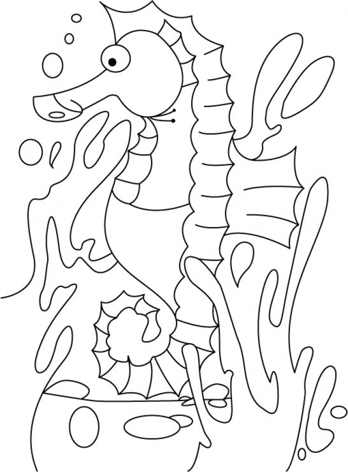 Get This Seahorse Coloring Pages Free Printable 22398 ! 708x960 Get This Seahorse Coloring Pages Free Printable 22398 !