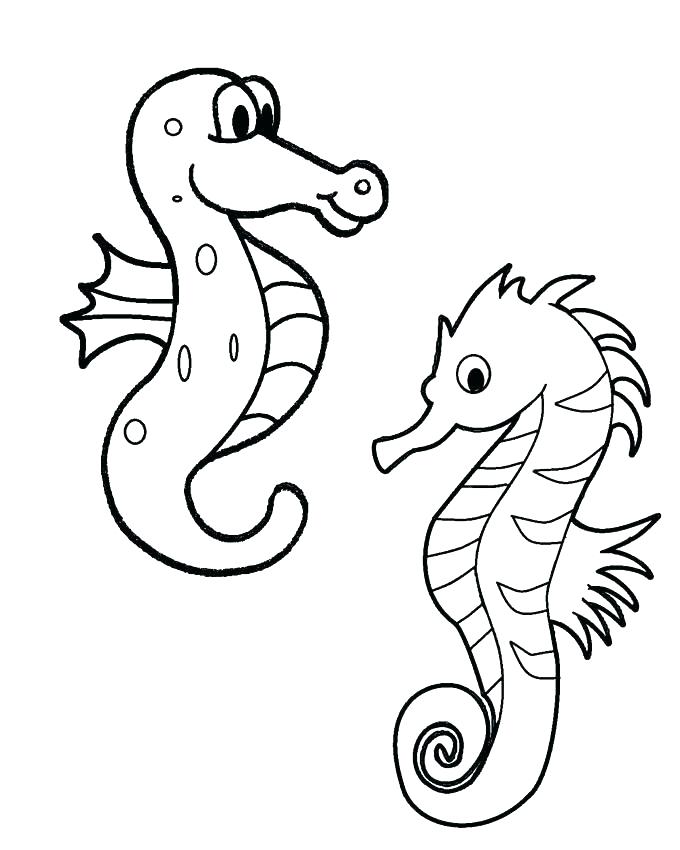 680x850 Seahorse Coloring Pages Seahorse Coloring Pages Seahorses Coloring