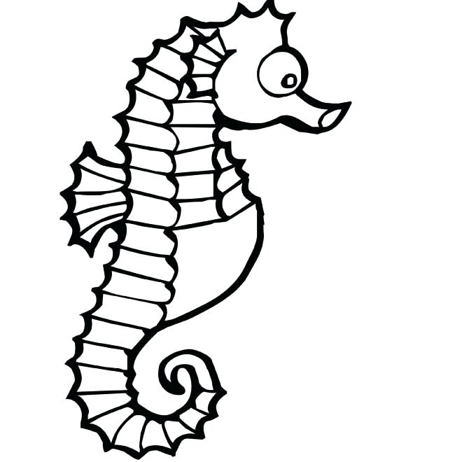 650x660 Seahorse Coloring Pictures Entrancing Seahorse Ures To Color