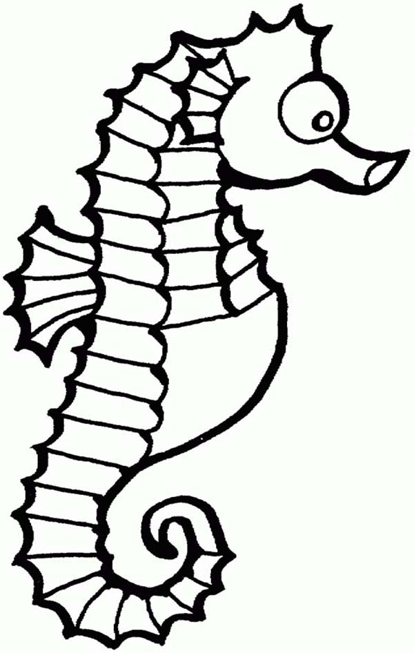 600x946 Cute Seahorse Coloring Pages