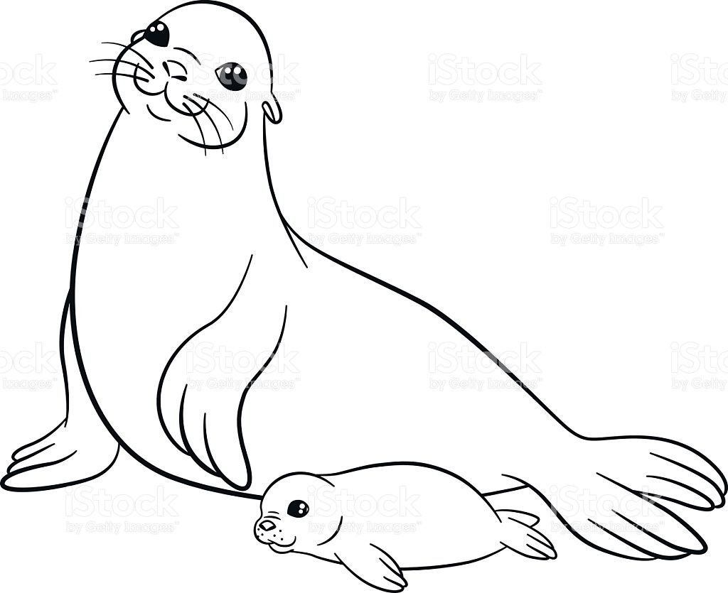 1024x835 Seal Coloring Pages Fresh Seal Coloring Pages Printable Page Image
