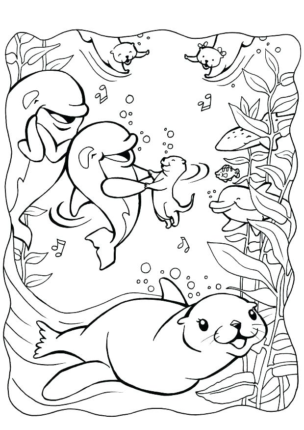 620x875 Seal Coloring Pages Seal Coloring Pages Seal Coloring 5 Free