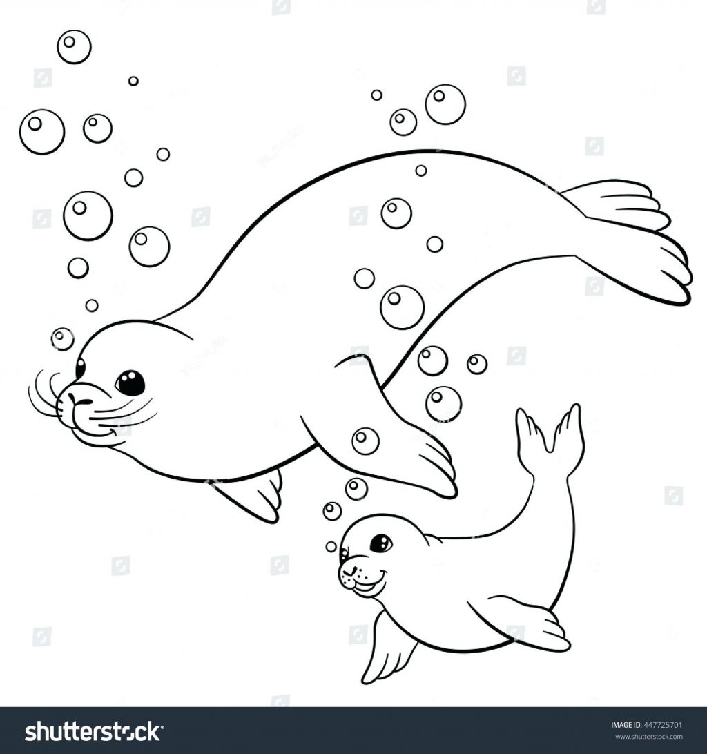 1024x1092 Coloring Page ~ Seal Coloring Page Arctic Seal Coloring Page