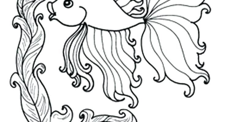 735x400 Ocean Fish Coloring Pages Ocean Life Coloring Pages Google Search