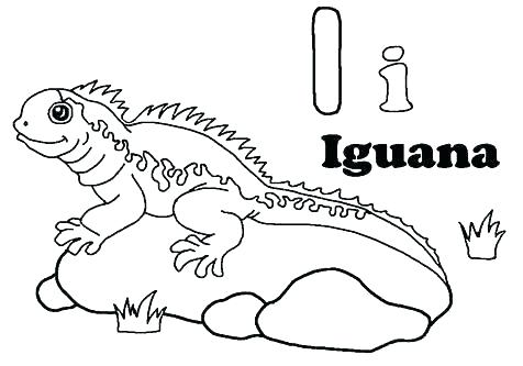 Gecko Coloring Pages Seascape Coloring Pages Marine Coloring Page 476x333 Gecko Coloring Pages Seascape Coloring Pages Marine Coloring Page