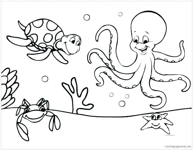 Marine Coloring Pages Marine Coloring Page Marine Coloring Pages 618x481 Marine Coloring Pages Marine Coloring Page Marine Coloring Pages