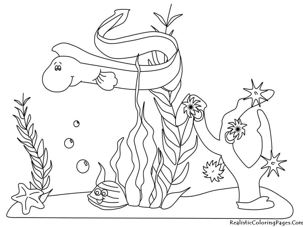 Ocean Animals Underwater Coloring Page 1024x768 Ocean Animals Underwater Coloring Page