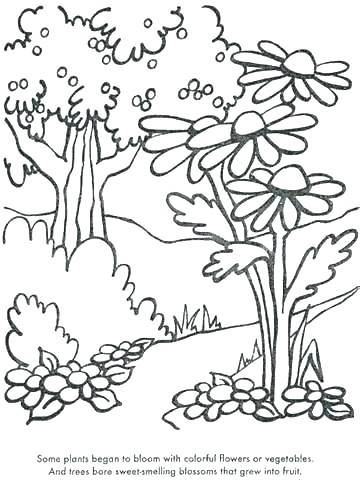 Plants Coloring Pages Grass Coloring Pages For Kids Color Plant 360x480 Plants Coloring Pages Grass Coloring Pages For Kids Color Plant