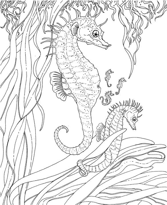 Seascape Coloring Pages Seascape Ocean Coloring Page 585x720 Seascape Coloring Pages Seascape Ocean Coloring Page