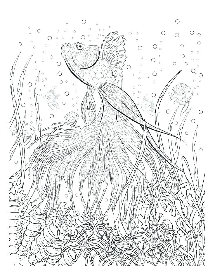 Seascape Coloring Pages Jgheraghty.site 736x952 Seascape Coloring Pages Jgheraghty.site