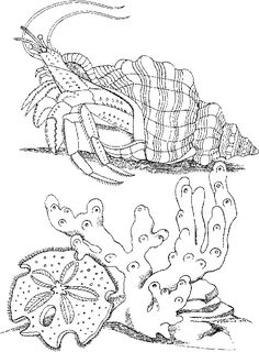 Free Seascape Coloring Pages Color Pages Free 236x320 Free Seascape Coloring Pages Color Pages Free