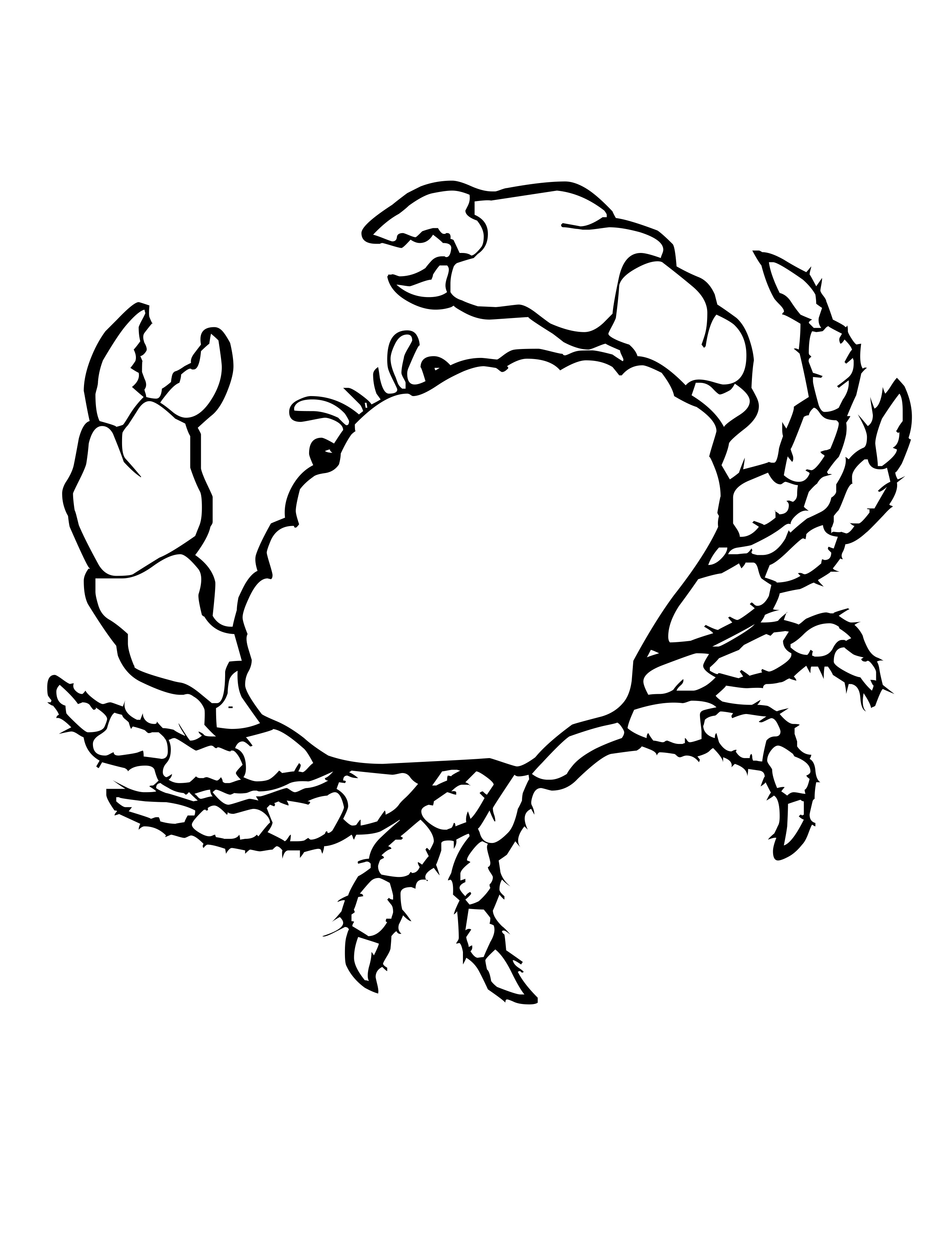 2550x3300 Sea Shell Coloring Page
