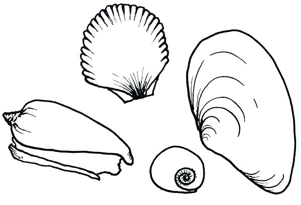 Seashell Coloring Page at GetColorings.com | Free printable colorings