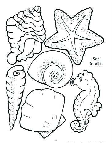 364x473 Seashell Coloring Page Seashell Coloring Pages With Pretty Page