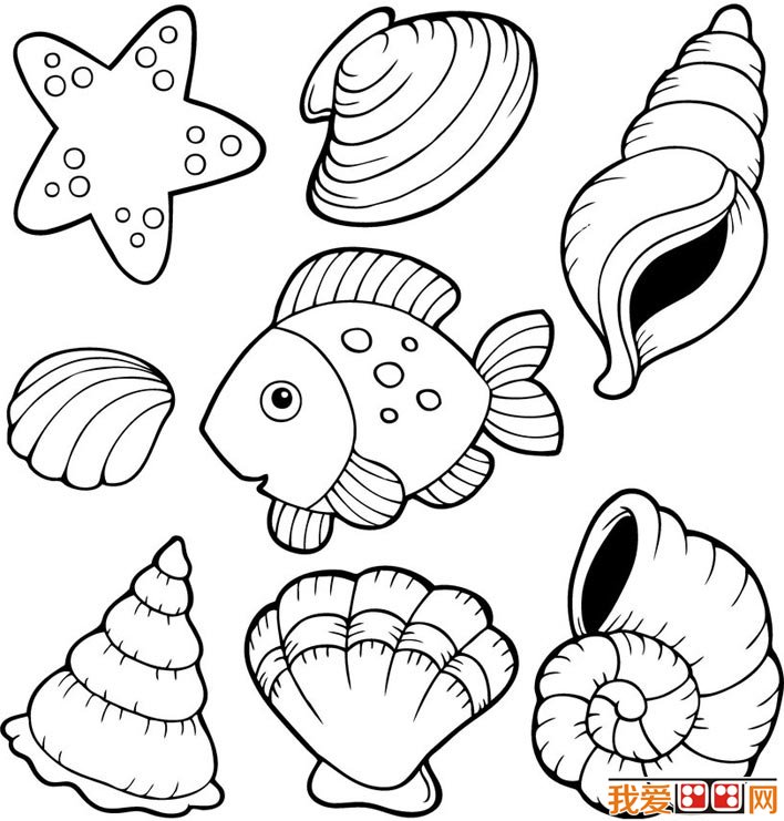 708x741 Seashells Coloring Pages Appealing Seashell Coloring Page 92