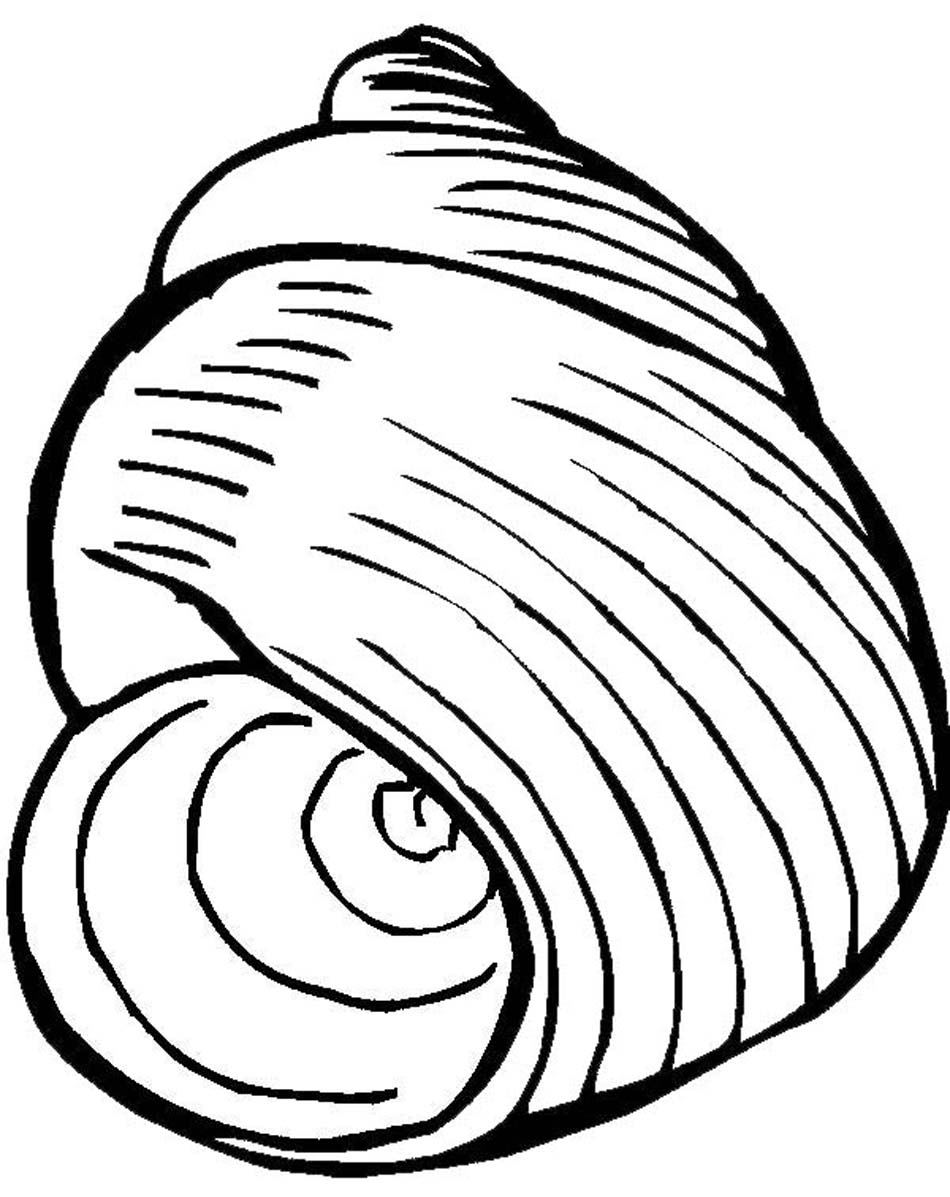 Seashell Coloring Page at GetColorings.com | Free printable colorings