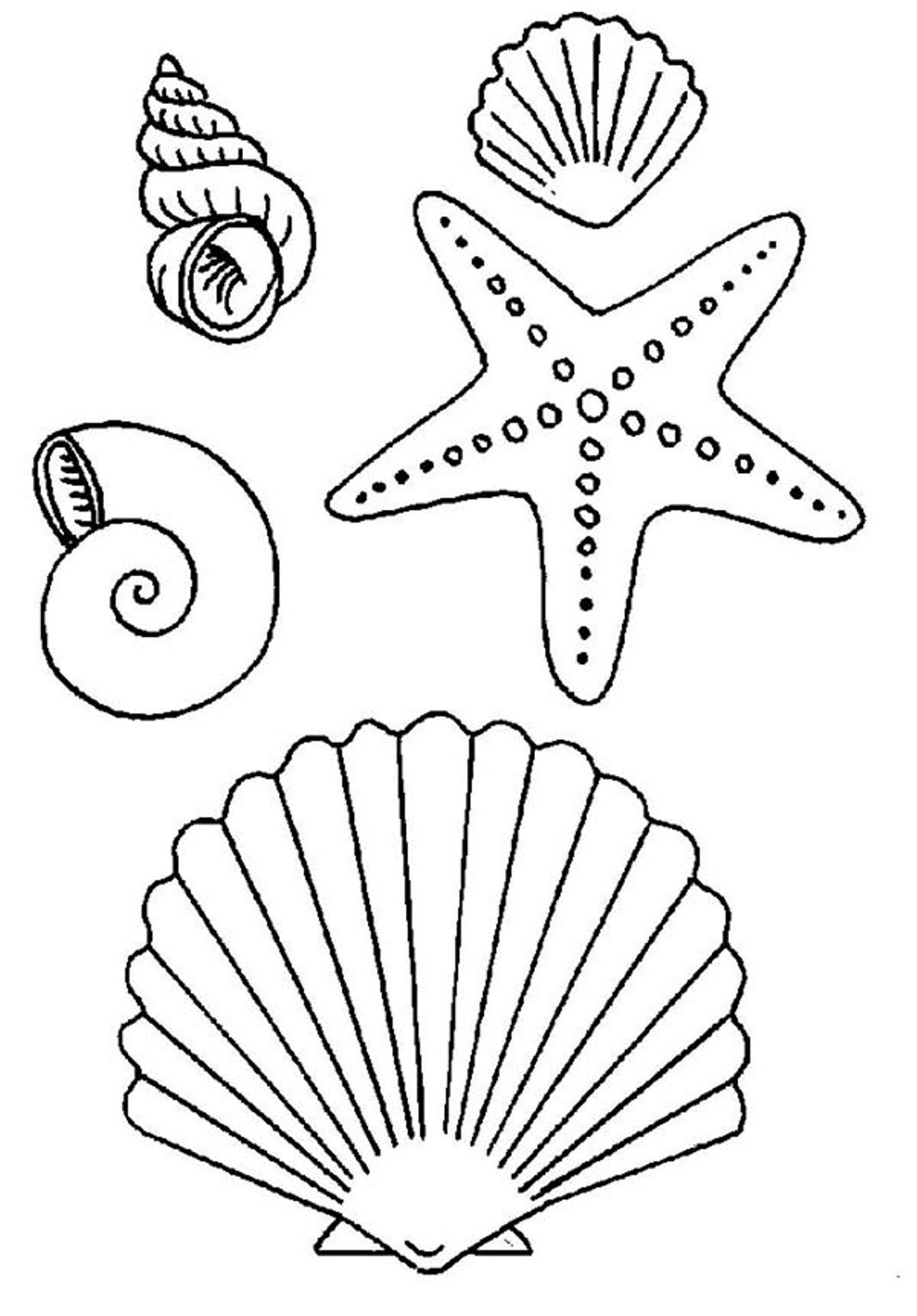 1068x1533 Easily Seashell Coloring Pages Images For Simple Drawings Tattoos