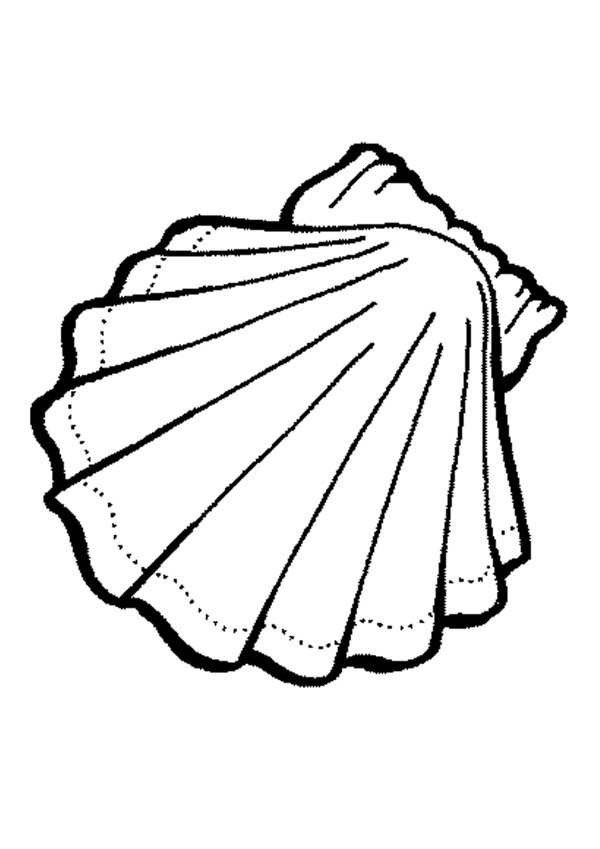 600x849 Exquisite Calico Scallop Seashell Coloring Page