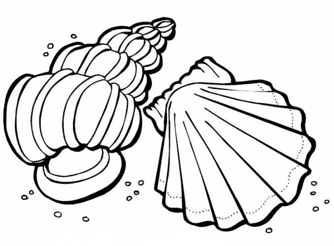 678x500 Free Printable Seashell Coloring Pages For Kids Mosaicos Y Deberes