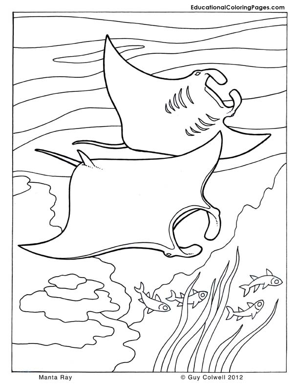 Sea And Seashore Book One Animal Coloring Pages For Kids 612x792 Sea And Seashore Book One Animal Coloring Pages For Kids