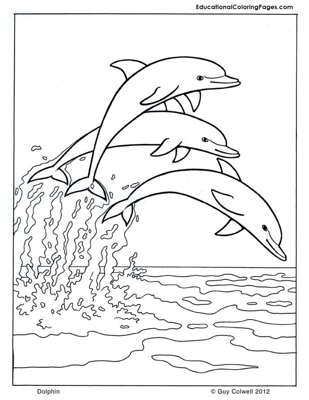 Seashore Coloring Pages Platypus Coloring Animal Coloring Pages 612x792 Seashore Coloring Pages Platypus Coloring Animal Coloring Pages